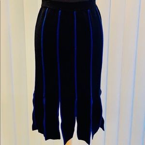 Chelsea and Theodore  black/blue “car wash” skirt.